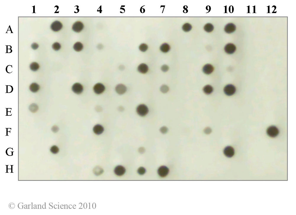 Biomolecular_Crystallography_Fig_4-13