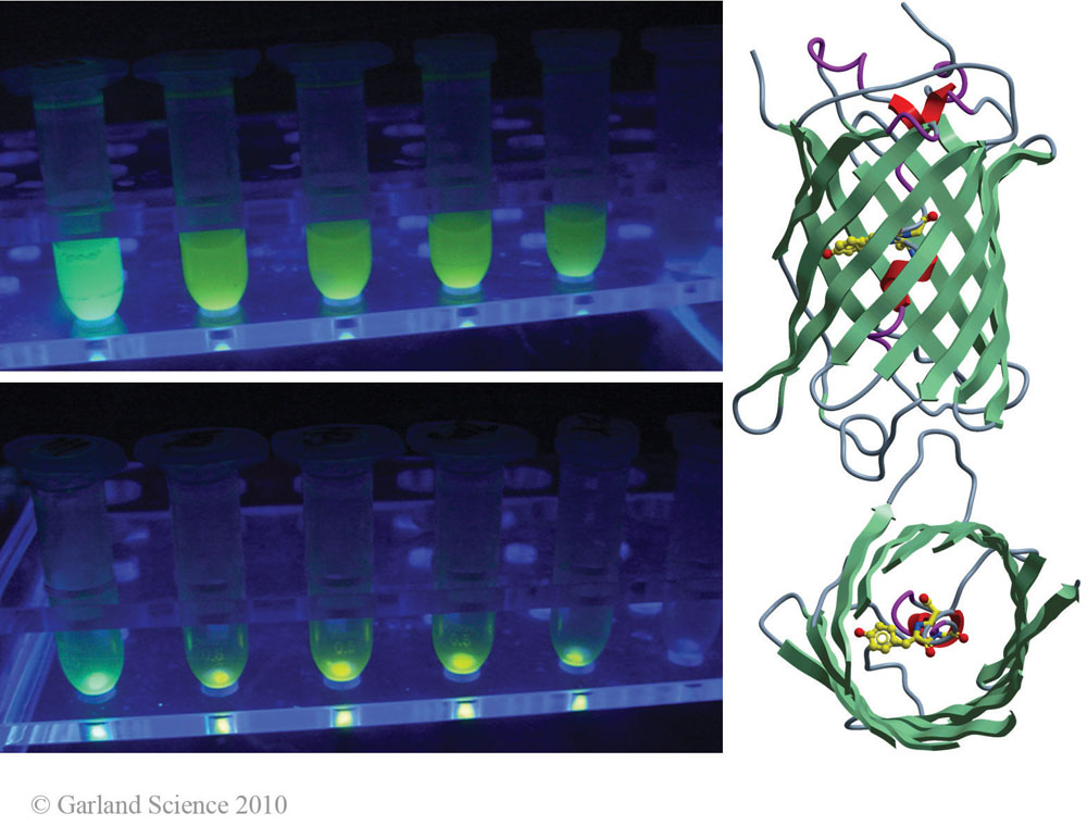 Biomolecular_Crystallography_Fig_4-14