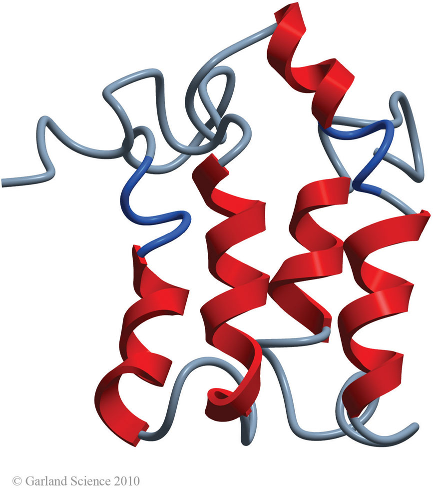 Biomolecular_Crystallography_Fig_4-16