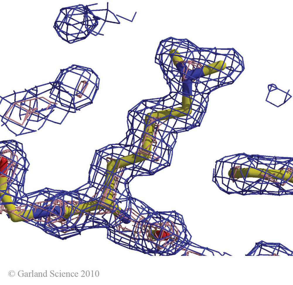 Biomolecular_Crystallography_Fig_4-19