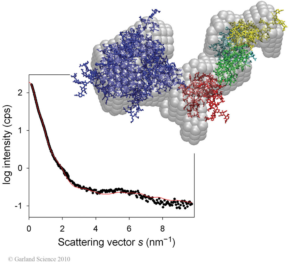 Biomolecular_Crystallography_Fig_4-25