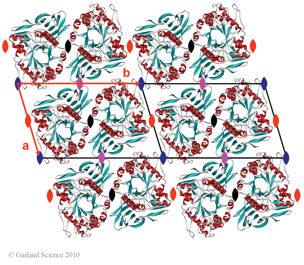 Biomolecular_Crystallography_Fig_5-10_A