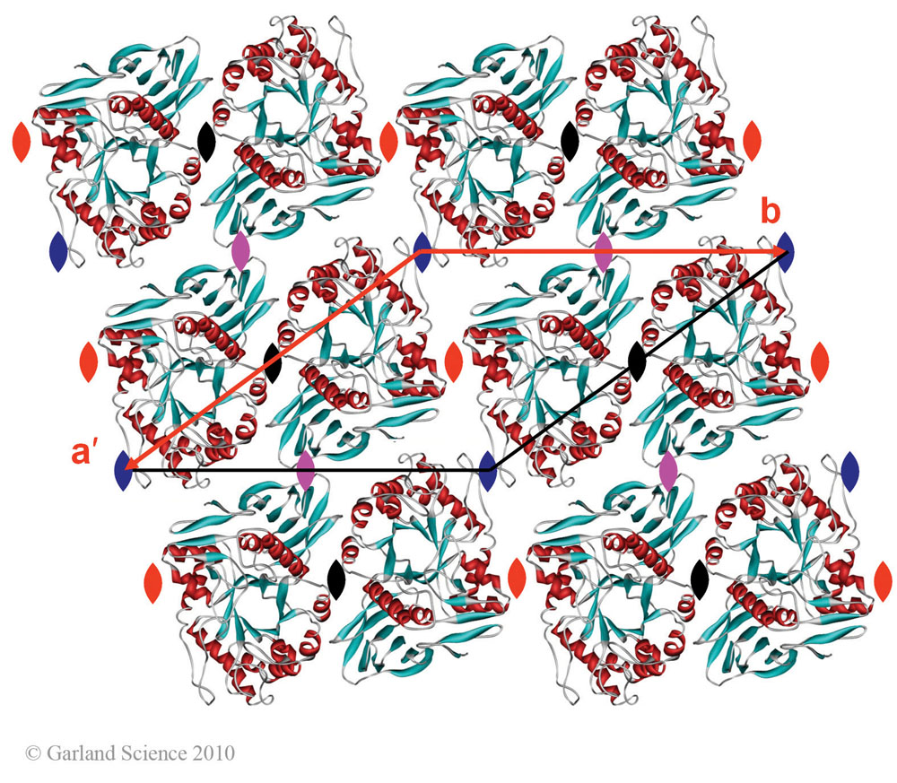 Biomolecular_Crystallography_Fig_5-10_B