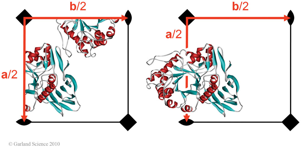 Biomolecular_Crystallography_Fig_5-13