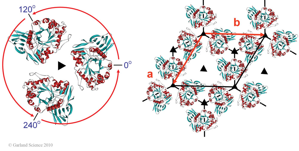Biomolecular_Crystallography_Fig_5-16_A