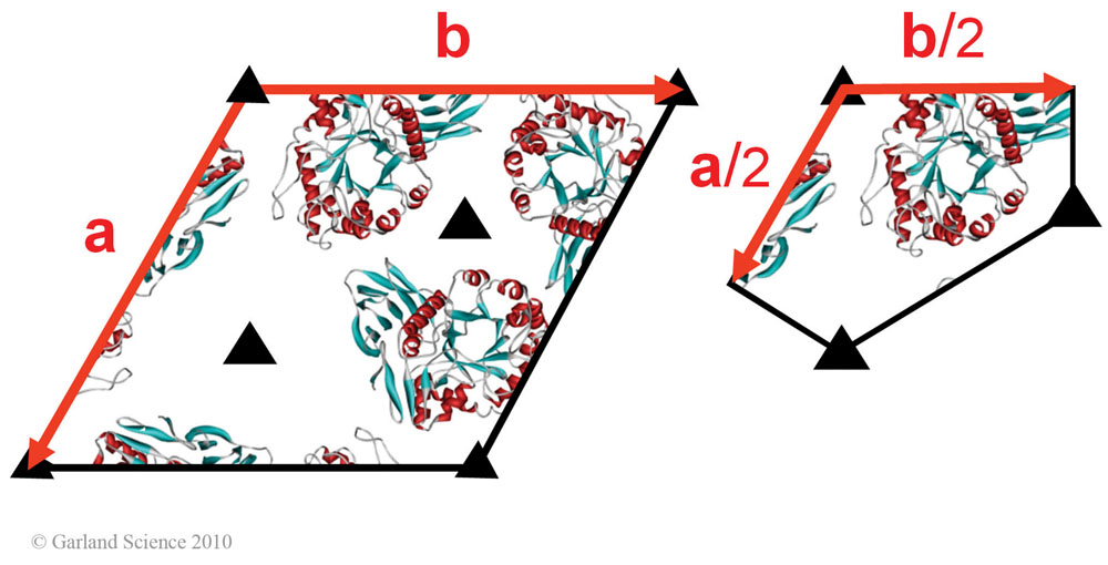 Biomolecular_Crystallography_Fig_5-16_B