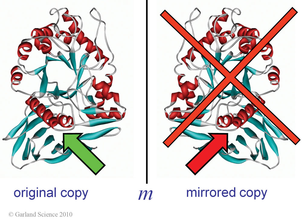 Biomolecular_Crystallography_Fig_5-17
