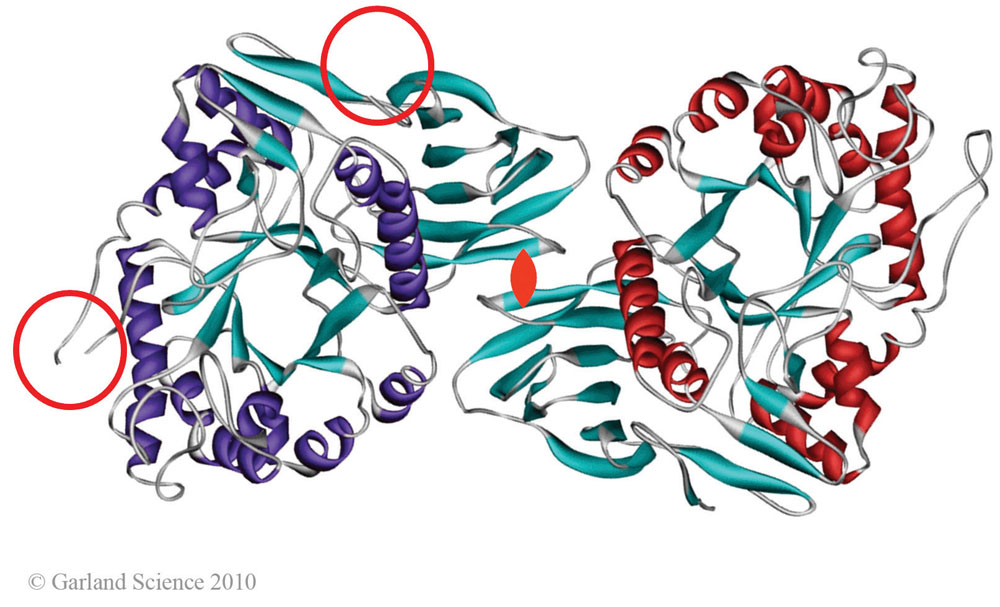 Biomolecular_Crystallography_Fig_5-19