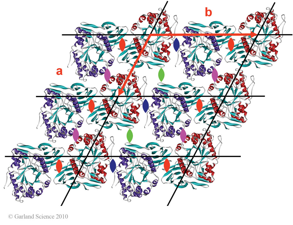 Biomolecular_Crystallography_Fig_5-20