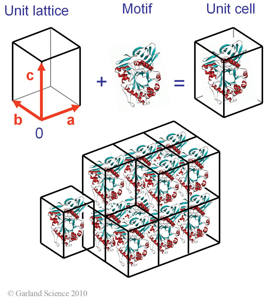Biomolecular_Crystallography_Fig_5-24