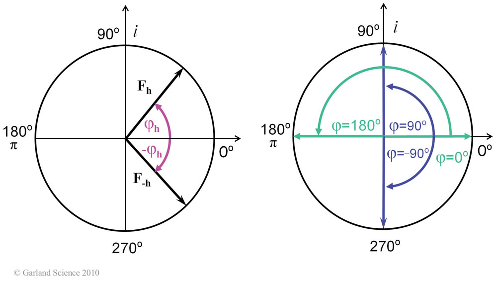 Biomolecular_Crystallography_Fig_6-28