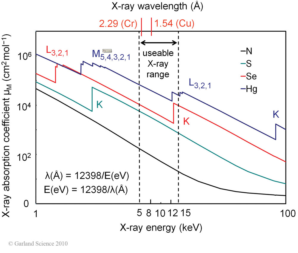 Biomolecular_Crystallography_Fig_6-29
