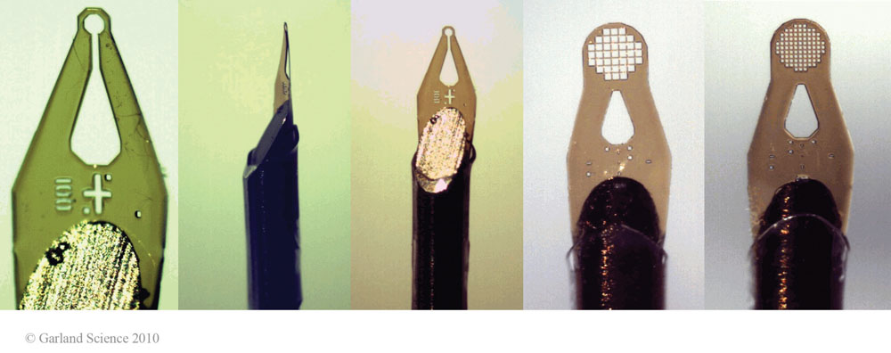 Biomolecular_Crystallography_Fig_8-12