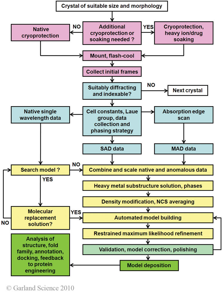 Biomolecular_Crystallography_Fig_8-21