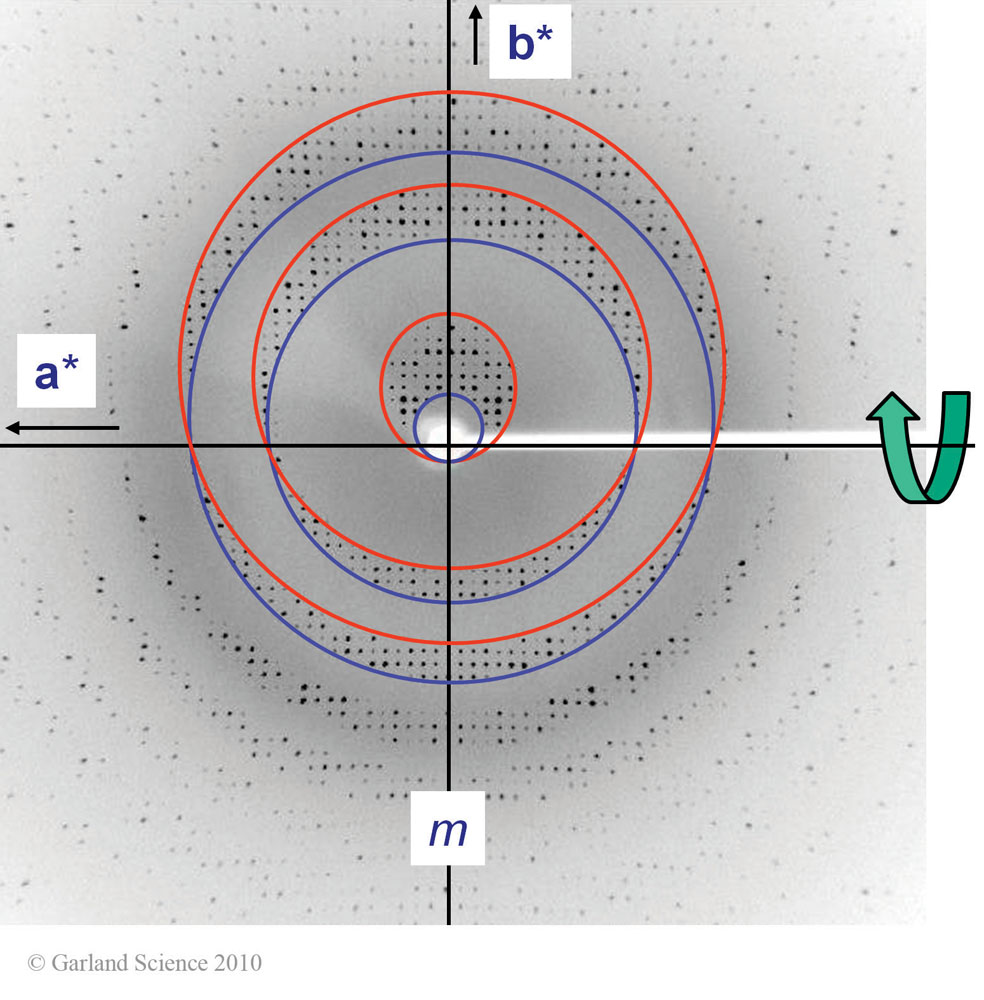 Biomolecular_Crystallography_Fig_8-23_PART3