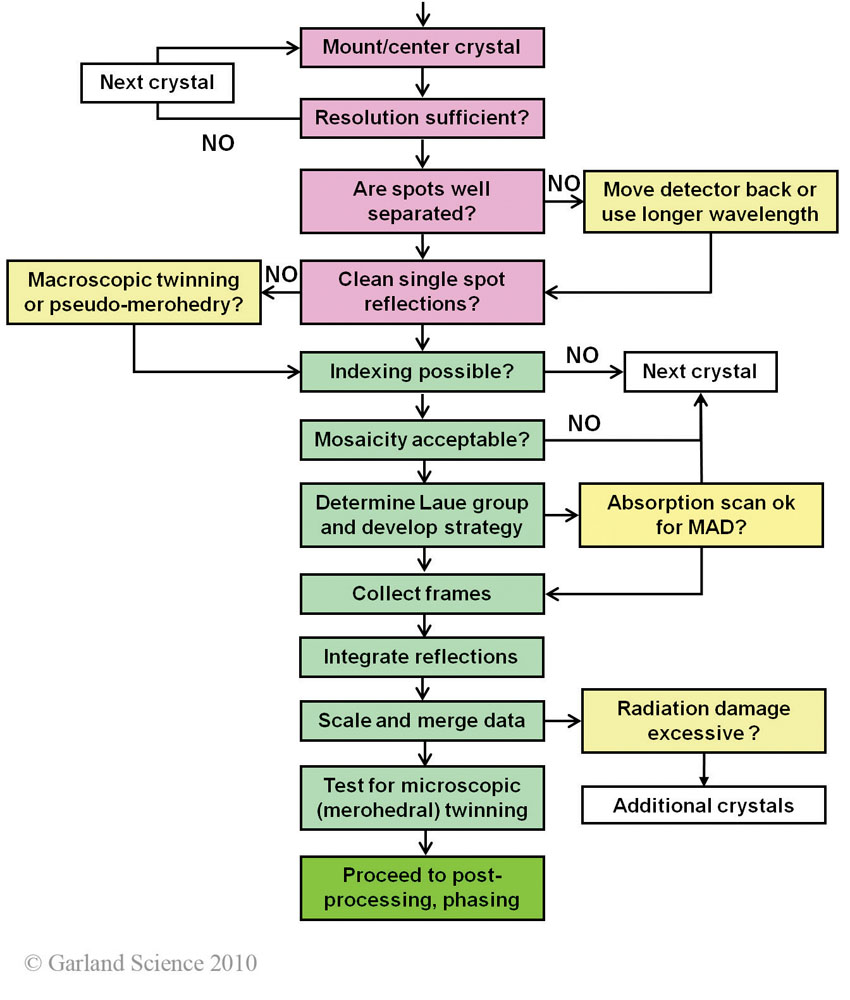 Biomolecular_Crystallography_Fig_8-24