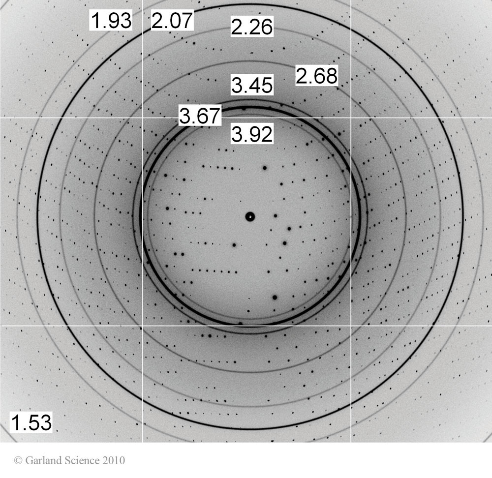 Biomolecular_Crystallography_Fig_8-25