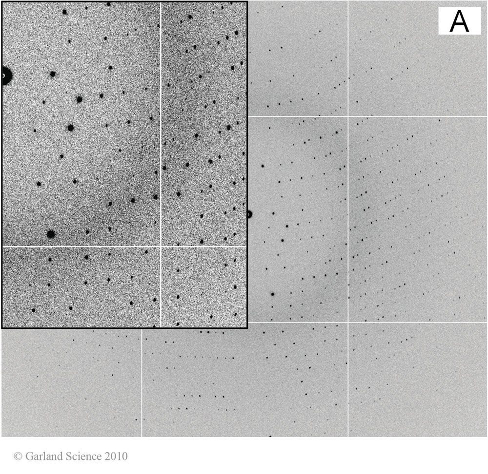 Biomolecular_Crystallography_Fig_8-26_A