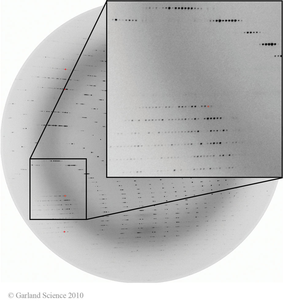 Biomolecular_Crystallography_Fig_8-27