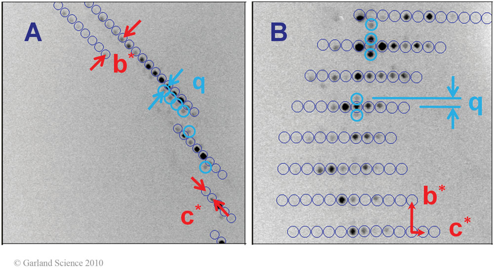 Biomolecular_Crystallography_Fig_8-30_PART2