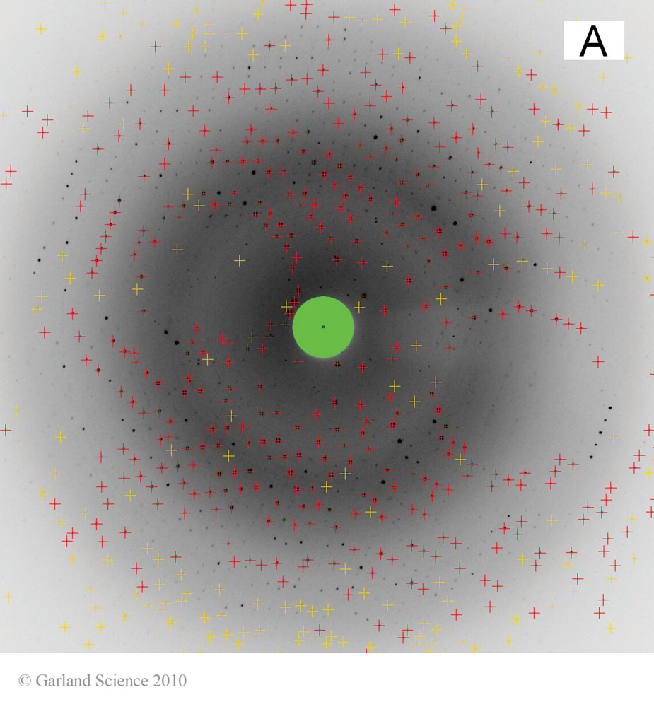 Biomolecular_Crystallography_Fig_8-34_A