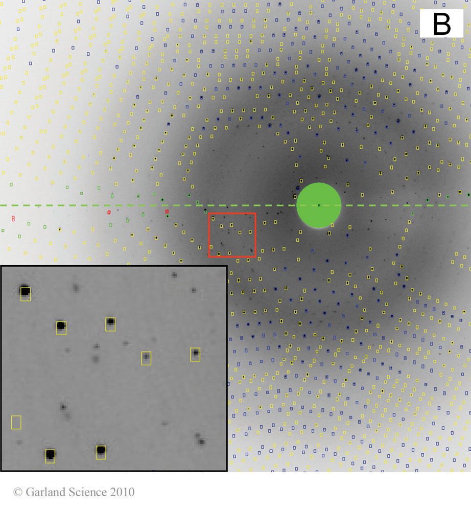 Biomolecular_Crystallography_Fig_8-34_B