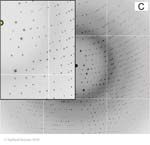 Biomolecular_Crystallography_Fig_8-26_C