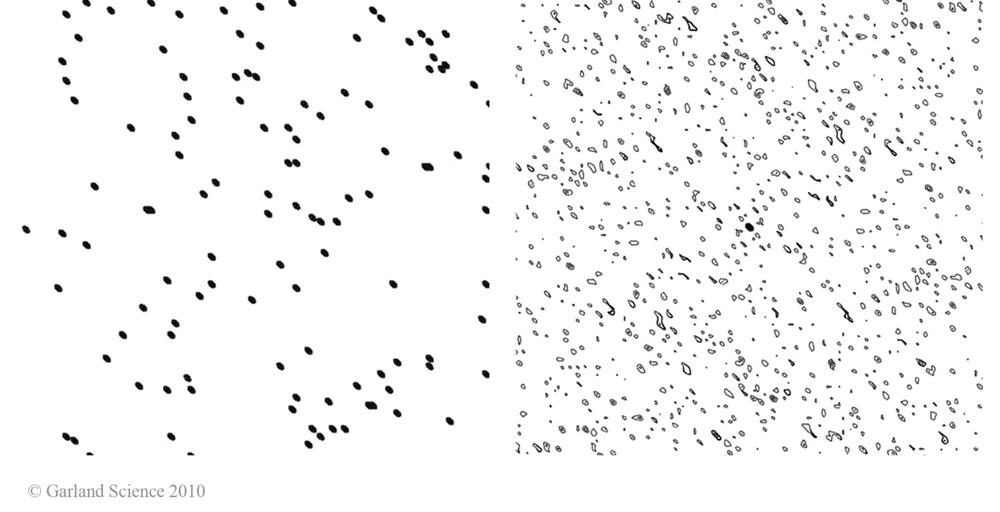 Biomolecular_Crystallography_Fig_9-13_D