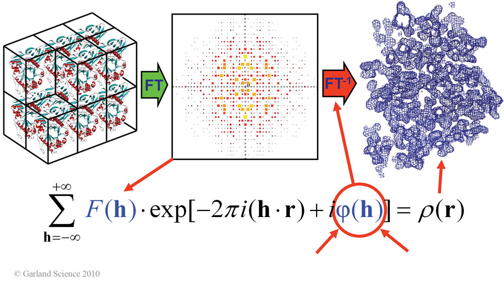 Biomolecular_Crystallography_Fig_9-15