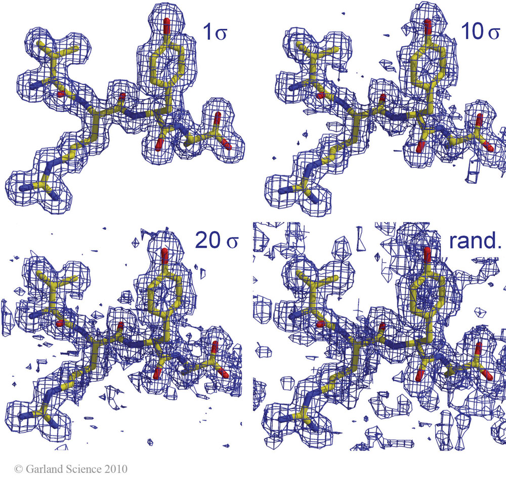 Biomolecular_Crystallography_Fig_9-16