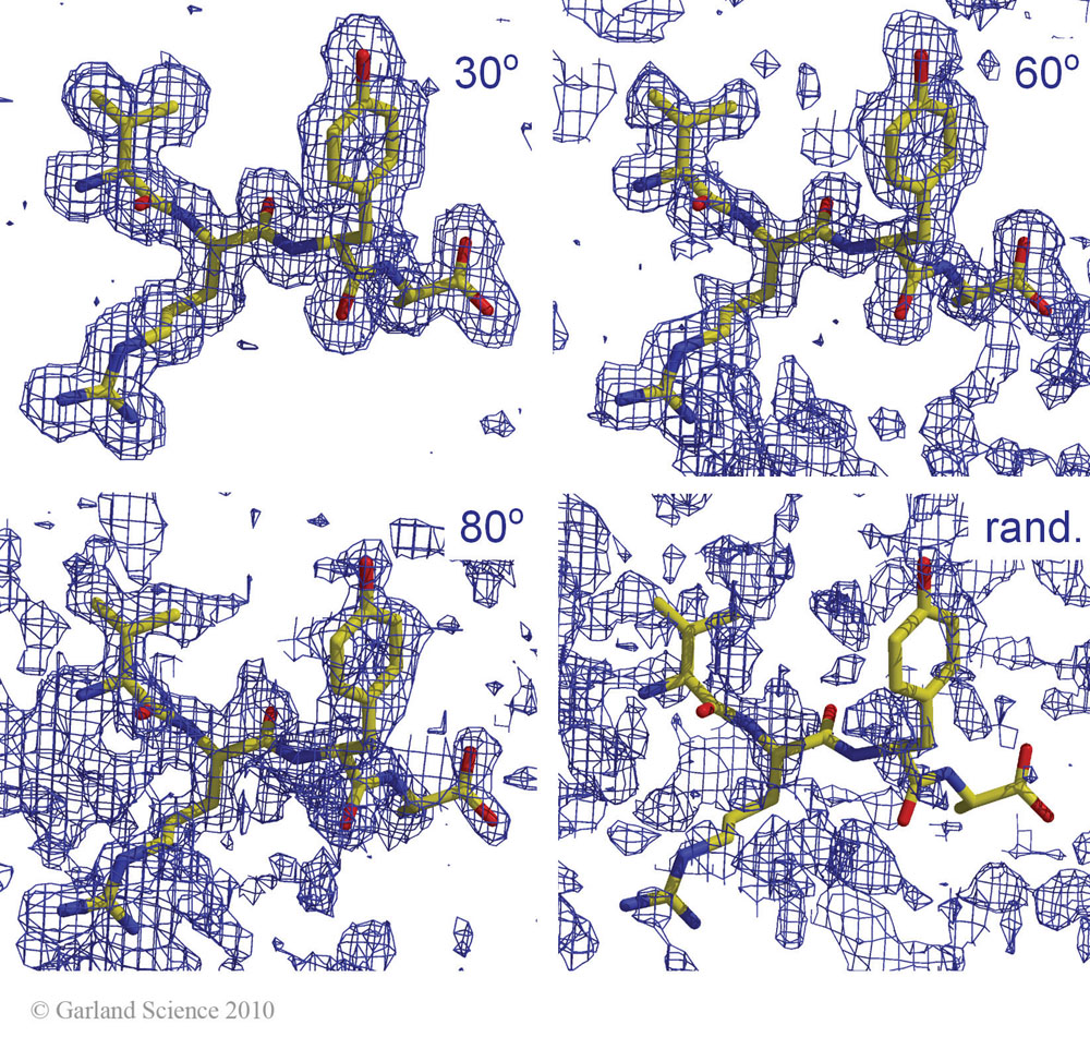 Biomolecular_Crystallography_Fig_9-17