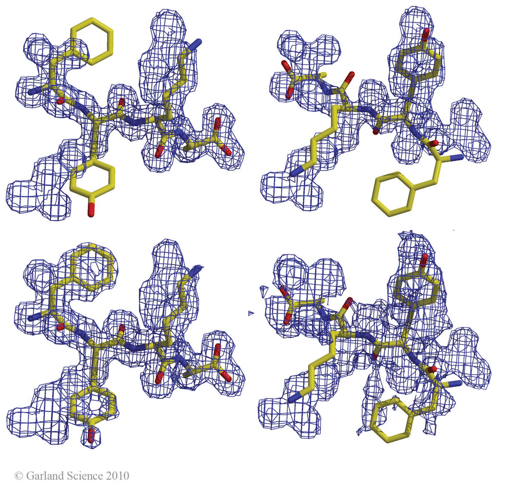 Biomolecular_Crystallography_Fig_9-18