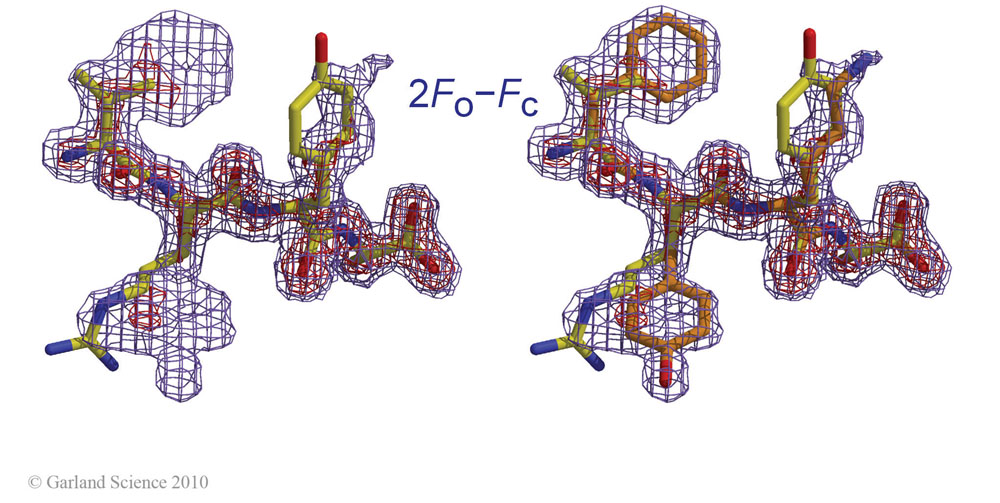 Biomolecular_Crystallography_Fig_9-19_PART2