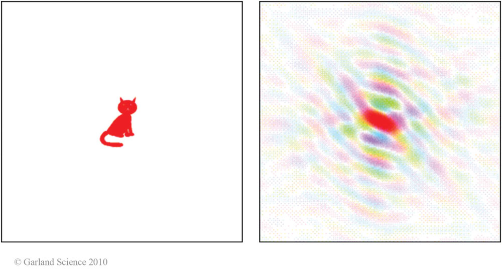 Biomolecular_Crystallography_SideBar_9-6_PART2