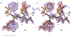 Biomolecular_Crystallography_Fig_9-19_PART1