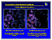 aa13.gif (6168 bytes)
