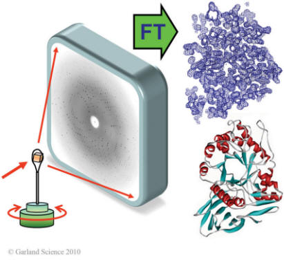 Principle of Crystallography
