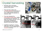 Slide10